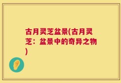 古月灵芝盆景(古月灵芝：盆景中的奇异之物)