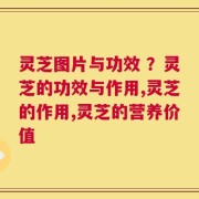 灵芝图片与功效 ？灵芝的功效与作用,灵芝的作用,灵芝的营养价值