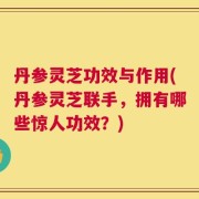 丹参灵芝功效与作用(丹参灵芝联手，拥有哪些惊人功效？)