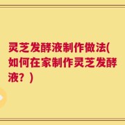 灵芝发酵液制作做法(如何在家制作灵芝发酵液？)
