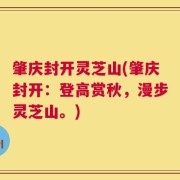 肇庆封开灵芝山(肇庆封开：登高赏秋，漫步灵芝山。)