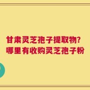 甘肃灵芝孢子提取物？哪里有收购灵芝孢子粉