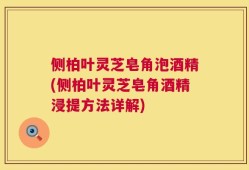 侧柏叶灵芝皂角泡酒精(侧柏叶灵芝皂角酒精浸提方法详解)