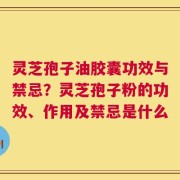 灵芝孢子油胶囊功效与禁忌？灵芝孢子粉的功效、作用及禁忌是什么