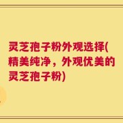 灵芝孢子粉外观选择(精美纯净，外观优美的灵芝孢子粉)