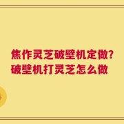 焦作灵芝破壁机定做？破壁机打灵芝怎么做