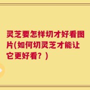 灵芝要怎样切才好看图片(如何切灵芝才能让它更好看？)