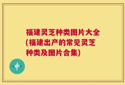 福建灵芝种类图片大全(福建出产的常见灵芝种类及图片合集)