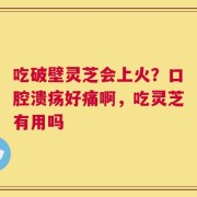 吃破壁灵芝会上火？口腔溃疡好痛啊，吃灵芝有用吗