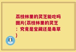 荔枝林里的灵芝能吃吗图片(荔枝林里的灵芝：究竟是宝藏还是毒草)
