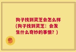 狗子找到灵芝会怎么样(狗子找到灵芝：会发生什么奇妙的事情？)