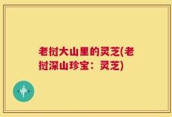 老挝大山里的灵芝(老挝深山珍宝：灵芝)