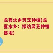 龙喜水乡灵芝种植(龙喜水乡：探访灵芝种植基地)