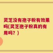 灵芝没有孢子粉有效果吗(灵芝孢子粉真的有用吗？)