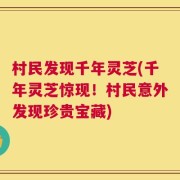 村民发现千年灵芝(千年灵芝惊现！村民意外发现珍贵宝藏)