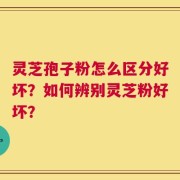 灵芝孢子粉怎么区分好坏？如何辨别灵芝粉好坏？