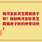 梅河吉巨灵芝霞姐孢子粉？探秘梅河吉巨灵芝霞姐孢子粉的神奇功效？