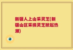 新疆人上山采灵芝(新疆山区采摘灵芝掀起热潮)