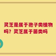 灵芝是属于孢子类植物吗？灵芝属于菌类吗