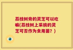 荔枝树旁的灵芝可以吃嘛(荔枝树上采摘的灵芝可否作为食用菌？)