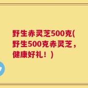 野生赤灵芝500克(野生500克赤灵芝，健康好礼！)