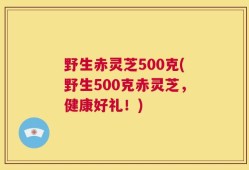 野生赤灵芝500克(野生500克赤灵芝，健康好礼！)