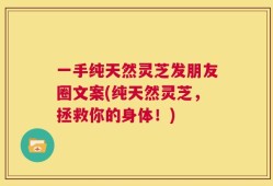 一手纯天然灵芝发朋友圈文案(纯天然灵芝，拯救你的身体！)