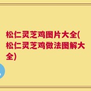 松仁灵芝鸡图片大全(松仁灵芝鸡做法图解大全)