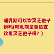 哺乳期可以饮灵芝孢子粉吗(哺乳期是否适宜饮用灵芝孢子粉？)