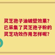 灵芝孢子油破壁效果？已采集了灵芝孢子粉的灵芝功效作用怎样呢？
