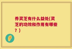 养灵芝有什么益处(灵芝的功效和作用有哪些？)