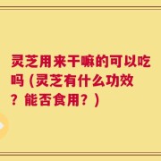 灵芝用来干嘛的可以吃吗 (灵芝有什么功效？能否食用？)