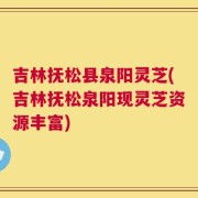 吉林抚松县泉阳灵芝(吉林抚松泉阳现灵芝资源丰富)