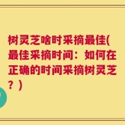 树灵芝啥时采摘最佳(最佳采摘时间：如何在正确的时间采摘树灵芝？)