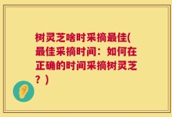 树灵芝啥时采摘最佳(最佳采摘时间：如何在正确的时间采摘树灵芝？)