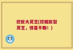 挖巨大灵芝(挖掘巨型灵芝，惊喜不断！)