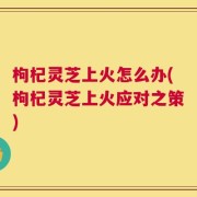 枸杞灵芝上火怎么办(枸杞灵芝上火应对之策)