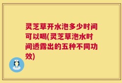 灵芝草开水泡多少时间可以喝(灵芝草泡水时间透露出的五种不同功效)