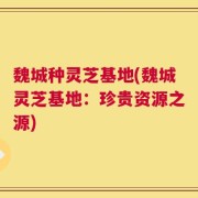 魏城种灵芝基地(魏城灵芝基地：珍贵资源之源)