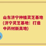 山东济宁种植灵芝基地(济宁灵芝基地：打造中药材新高地)