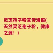灵芝孢子粉宣传海报(天然灵芝孢子粉，健康之源！)