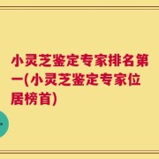 小灵芝鉴定专家排名第一(小灵芝鉴定专家位居榜首)