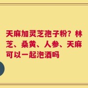 天麻加灵芝孢子粉？林芝、桑黄、人参、天麻可以一起泡酒吗