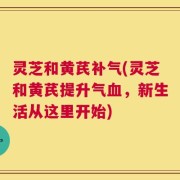 灵芝和黄芪补气(灵芝和黄芪提升气血，新生活从这里开始)