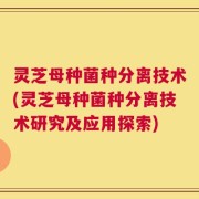 灵芝母种菌种分离技术(灵芝母种菌种分离技术研究及应用探索)