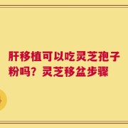 肝移植可以吃灵芝孢子粉吗？灵芝移盆步骤