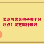 灵芝与灵芝孢子哪个好吃点？灵芝哪种最好