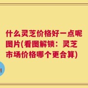 什么灵芝价格好一点呢图片(看图解锁：灵芝市场价格哪个更合算)