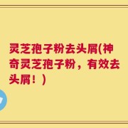 灵芝孢子粉去头屑(神奇灵芝孢子粉，有效去头屑！)