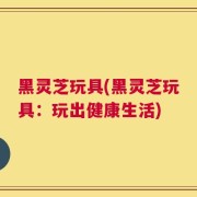 黑灵芝玩具(黑灵芝玩具：玩出健康生活)